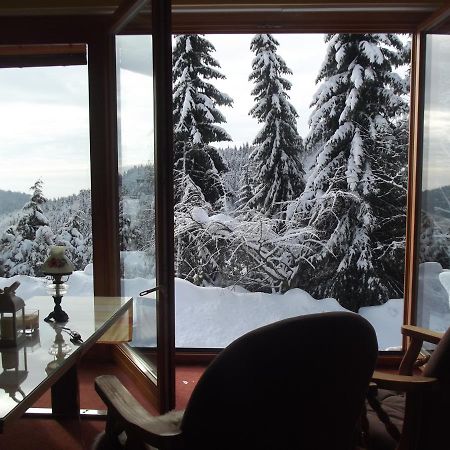 Chata S Vyhledem Jáchymov Esterno foto