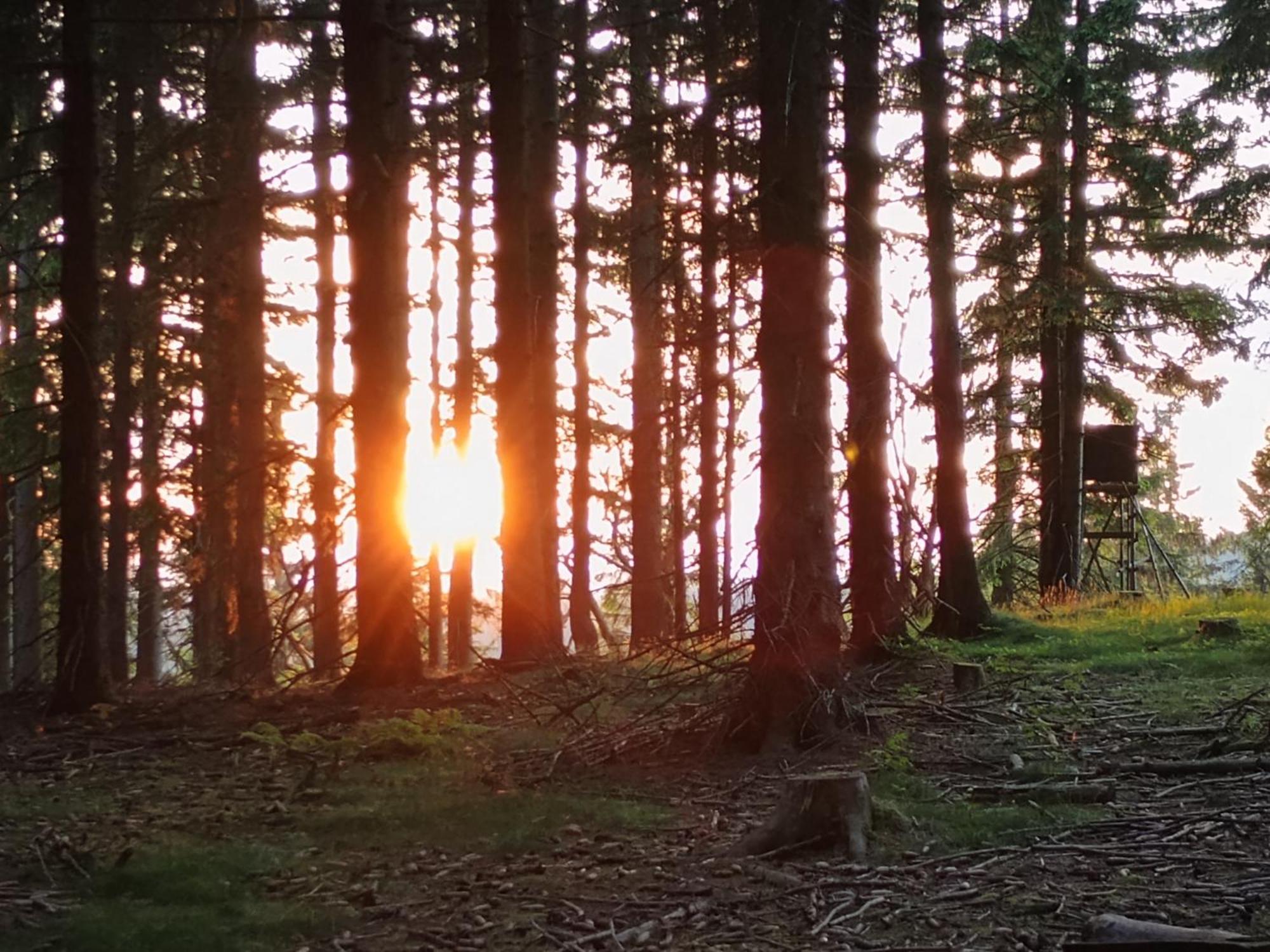 Chata S Vyhledem Jáchymov Esterno foto