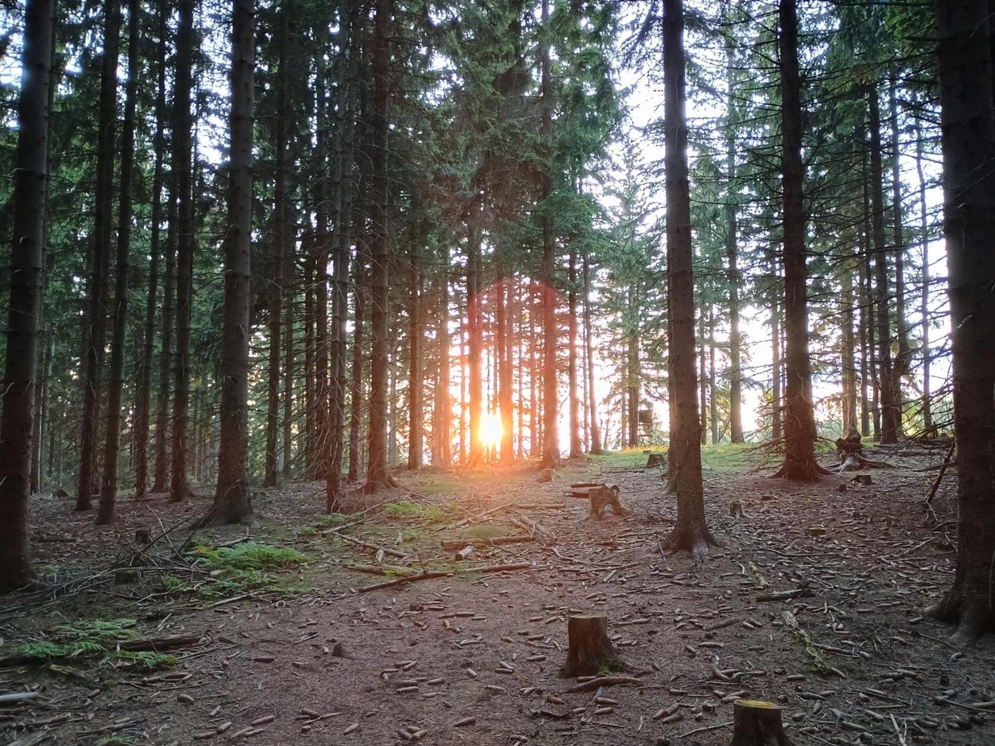 Chata S Vyhledem Jáchymov Esterno foto